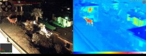 Deteccion_camara_termica_en_la_noche